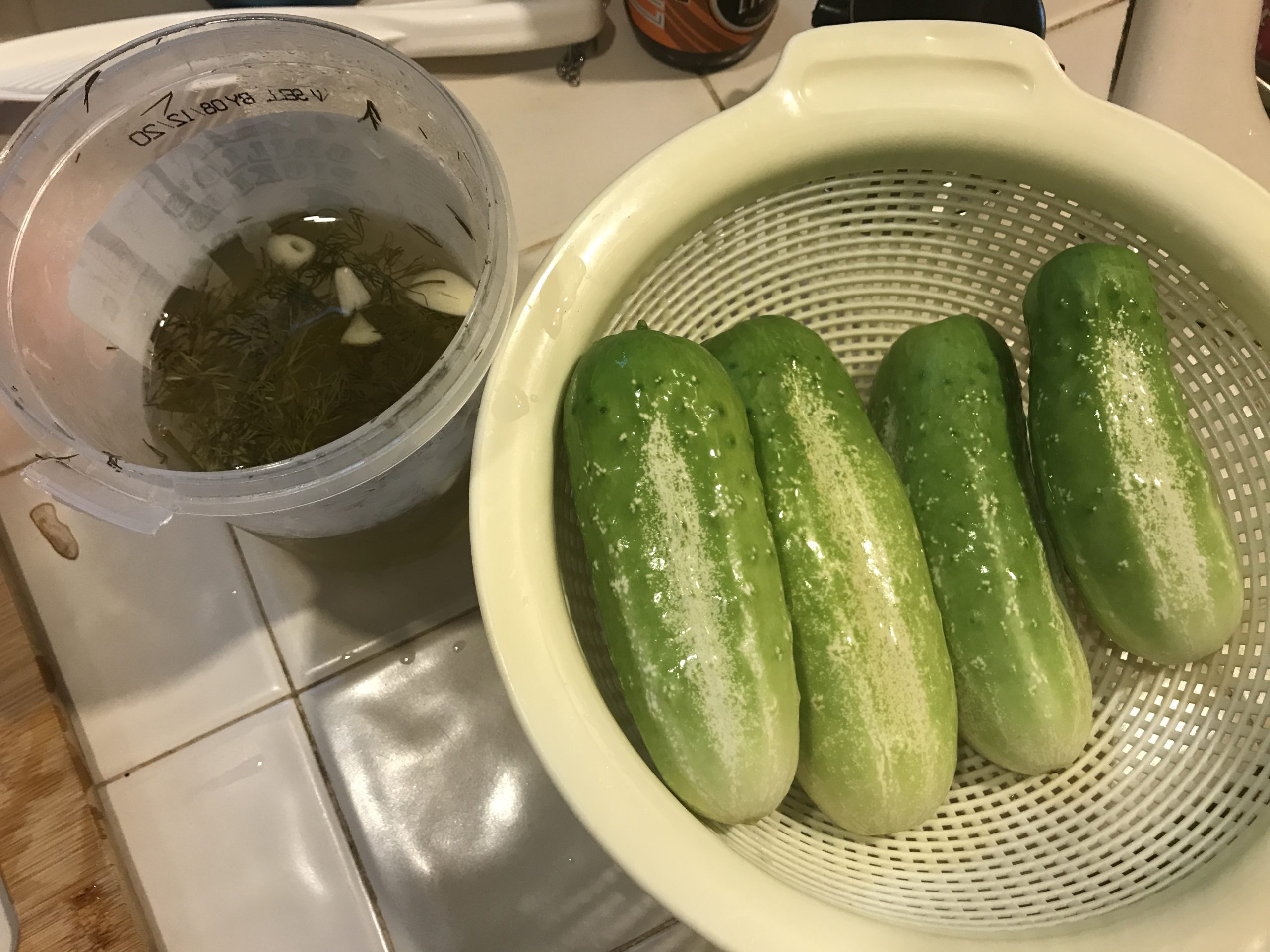 Pickling first cucumber 🥒 harvest – YHK daily photos